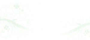 bg_img001